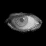 Eyes On Cinema's profile picture