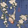 🇯🇵島国日本🇯🇵🗾's profile picture