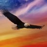 John(Alpha Male) 🇺🇸's profile picture