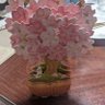 Фото профиля あいこす（保育士試験勉強中）