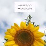 الجود 88 💛 profil fotoğrafı