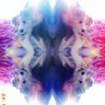 🌸 Miruralpaga 🌸 的头像
