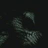 HDYSH' . profil fotoğrafı