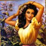 La Sirena 的头像