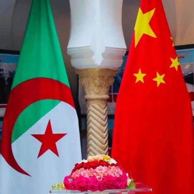Embassy of China in Algeria 中国驻阿尔及利亚大使馆's profile picture