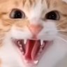 Profilbild von ファボ丸くん