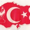 Profilbild von Metin Karayazı🇹🇷🇦🇿🤘