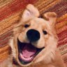 Annabelle's profile picture