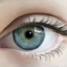 Profilbild von StraightTalk