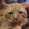 Profilbild von A b C