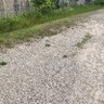 Фото профиля ひろと