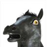 Profilbild von Crypto Horse