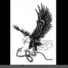 Profilbild von Eagle1