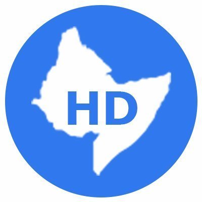 HornD_Arabic's profile picture