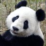 ELITE shirre's profile picture