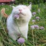 K.WhitAF profil fotoğrafı