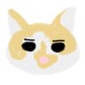 Profilbild von 因幡晴朗