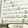 Mostafa Farouk profil fotoğrafı