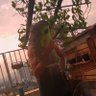 LuWiccano 🧙🏾 profil fotoğrafı