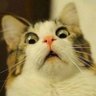 孕みゴッド profil fotoğrafı