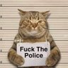 Arrested Cat's profile picture