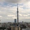 SkyTree's profile picture