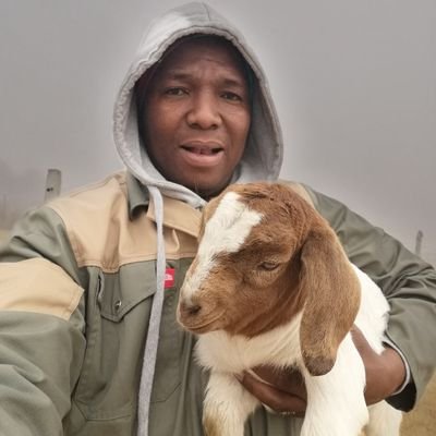 collin thobedi's profile picture