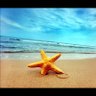 siri --- :)'s profile picture