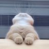 B-127's profile picture