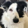 Profilbild von Brenda