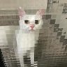 (⁎⁍̴̛ᴗ⁍̴̛⁎) profil fotoğrafı