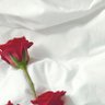 Фото профиля الجوهره