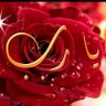 روح الروح profil fotoğrafı