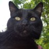Catt0s 🌪️'s profile picture