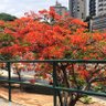 Isidoro Hugo Duarte profil fotoğrafı