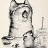Profilbild von YawningCat