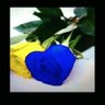 ندم القصيم💙💛 profil fotoğrafı