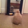 Tsweet profil fotoğrafı
