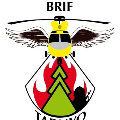 BRIF TABUYO's profile picture
