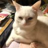 ゆっこ's profile picture