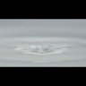 Фото профиля olubusayo@1