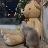 むや profil fotoğrafı
