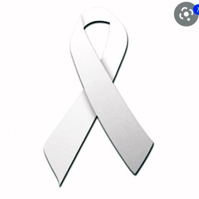 TvPlataforma's profile picture