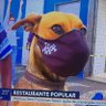 Фото профиля MarceloooOOoooO