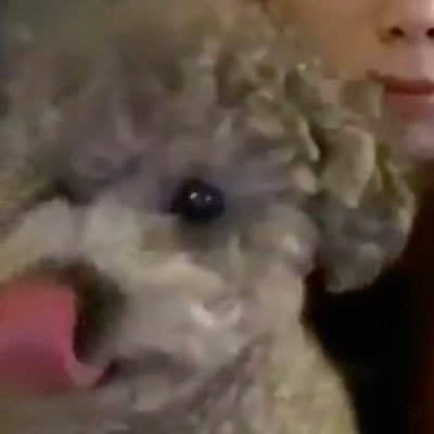 둄's profile picture