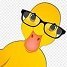 Profilbild von david reutter