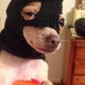 Tony Evans's profile picture