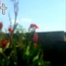 Verse_1 profil fotoğrafı