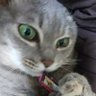 ひで 的头像