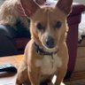 Фото профиля Dogemom
